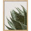 «Green Cactus Succulent Raindrop Water Droplet» sur papier-98266121-98266124