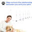 Entraînement d'agilité pour chien avec poteaux et armoire de rangement. Encouragez les exercices physiques du chien. Portable et léger. Configuration entièrement réglable. Établissez une relation plus étroite avec votre animal de compagnie. Blanc