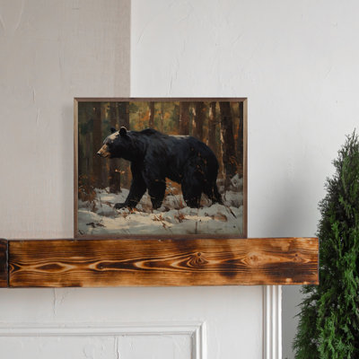 Black Bear In Snow