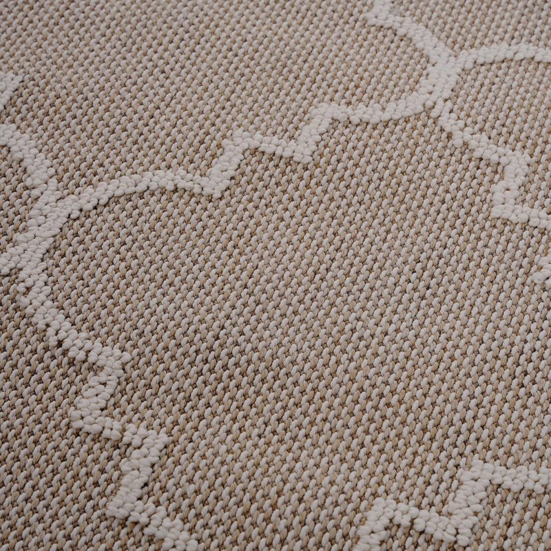 Trellis Indoor/Outdoor Area Rug, Rectangle 5'3" x 7'6"