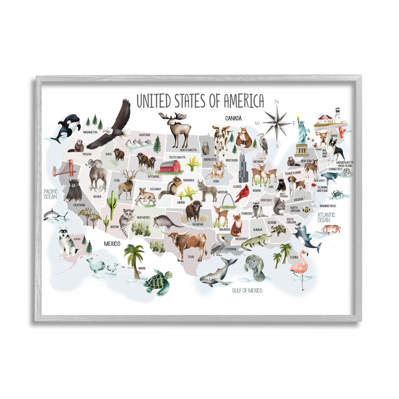 Carte des États-Unis d'Amérique, Illustration d'enfant - impression, H 11 po x l 14 po x P 1,5 po