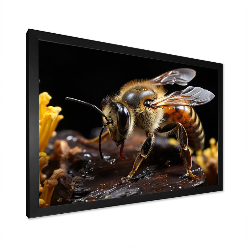 " Bee Portrait II ", Black Floater Framed, 34" H x 44" W x 1.5" D