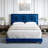 Pisa Velvet Upholstered Platform Bed Frame with Adjustable Headboard, Solid Wood Beam Support System, No Box Spring Required-2110187614-2110187601