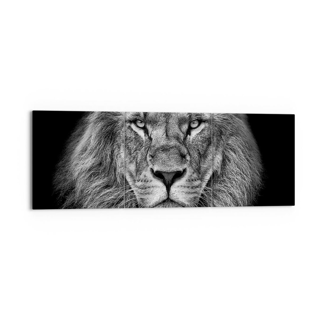 3-tlg. Leinwandbilder-Set Portrait Lion Black and White