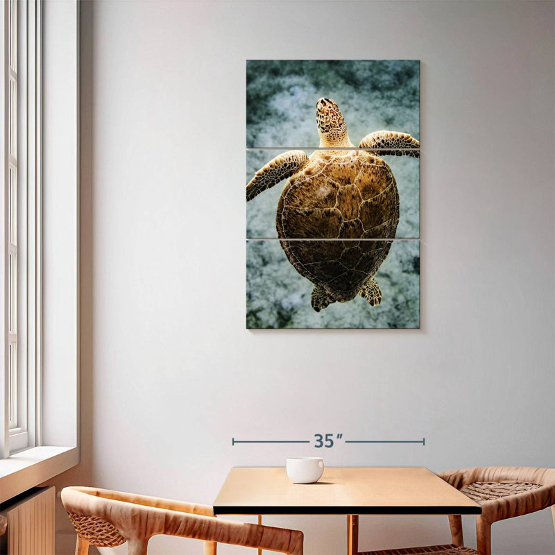 Brampt Virgin Islands Turtle, 57" H x 36" W