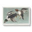 Golden-Eye Ducks - Wrapped Canvas Painting-55366337