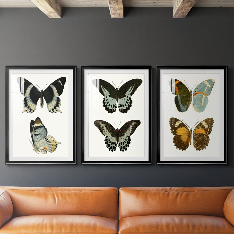 Papillons bleus antiques I - reproduction encadrée sur mesure de qualité supérieure mate - 3 pièces, H 15 po x l 19 po, Noir