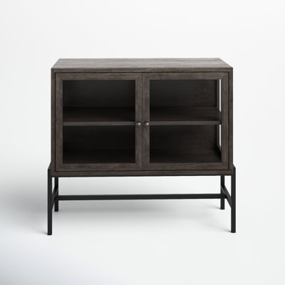Warner 2 -Door Storage Cabinet