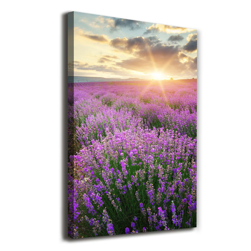 Grenade - Wrapped Canvas Print