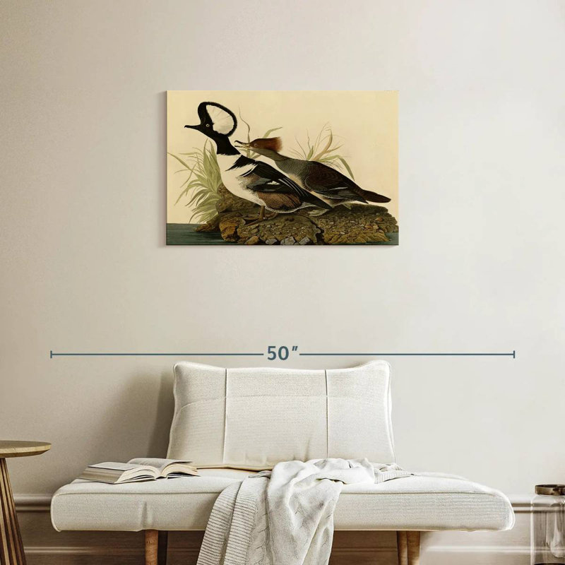Hooded Merganser, 20" H x 30" W