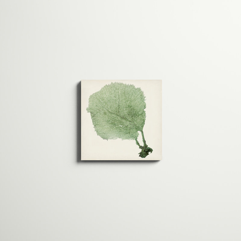 «Sea Fan II», peinture sur toile, H 20 po x l 20 po