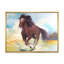 Cheval brun galopant - peinture sur toile-67417824-67417827