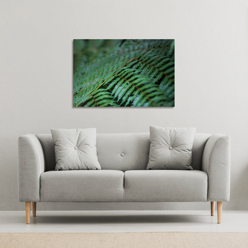 Andrew Lee - Wrapped Canvas Print