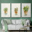Succulent I, encadré sur toile, 3 pièces-163068306-163068304