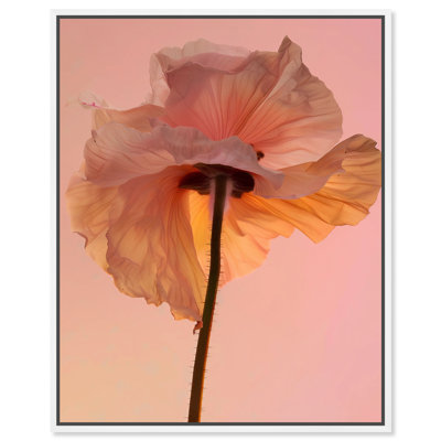 Amber Radiance IV Print by Oliver Gal