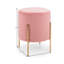 Accringt Stainless Steel Accent Stool-1787988157