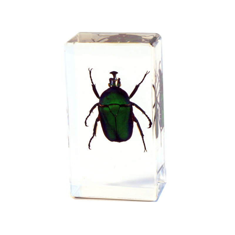 Pyron Animals Figurines & Sculptures
