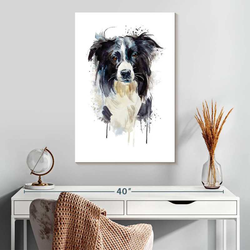 Border Collie Dog Splash, H 30 po x l 20 po
