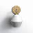 Rooks Armed Sconce-1858683778-1858683776