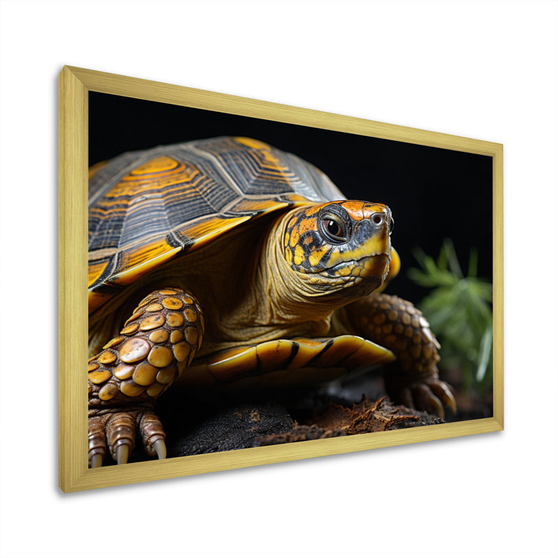 Gros plan sur une tortue, portrait sur toile, H 16 po x l 32 po x P 1 po, Cadre doré à une seule photo