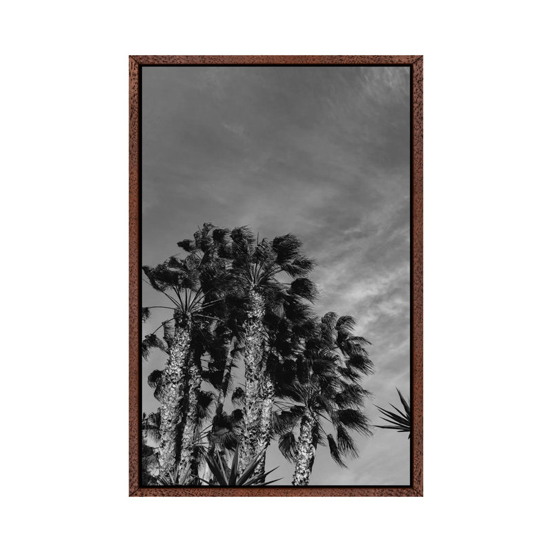 Monochrome California Sky 1 Piece Wall Art on Canvas, 66.04cm H x 45.72cm W x 3.81cm D, Classic Brown Wood Framed