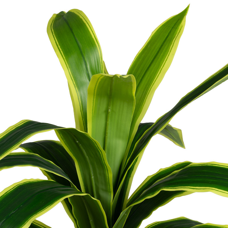 120cm Plant