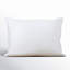 Terron Down Soft Pillow-1363845404