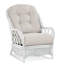 Everglade Rattan Arm Chair-27525509-61811609