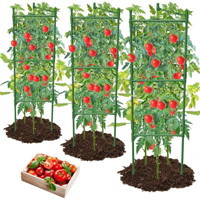 Paquet de 3, cage à tomates, cage à tomates pour jardin surélevé, hauteur de 48 po ...