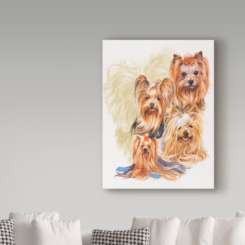 «Yorkshire Terrier», Adelphi, affiche vintage sur toile tendue, H 19 po x l 14 po