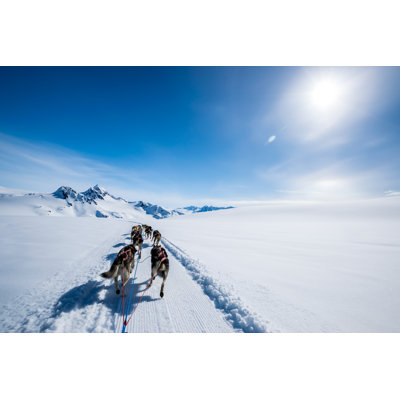 Traîneau à chiens sur un sommet de montagne par A&J Fotos
