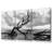 Ocean Driftwood B N W Canvas 3 Panel Set-1629844626