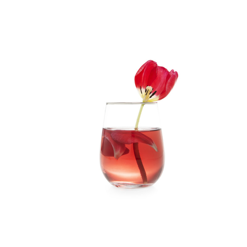 Platinum 470 ml Drinking Glass Set