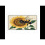 Polyester Desk Pad-541757706
