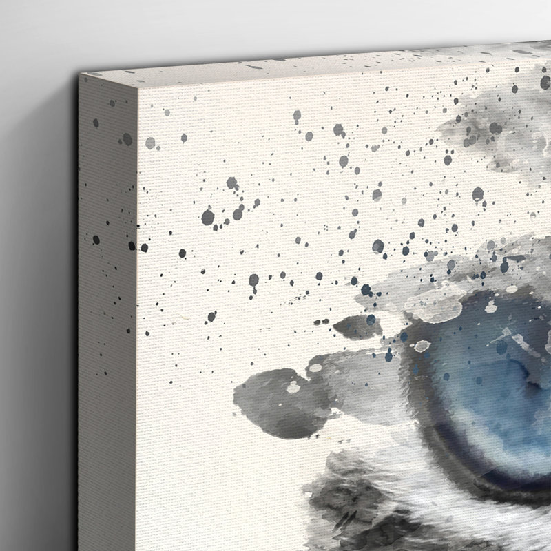 Cat Eyes - Wrapped Canvas, 35cm H x 50cm W