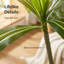 Arbre tropical artificiel artificiel de 6 pi avec plante blanche Dracaena