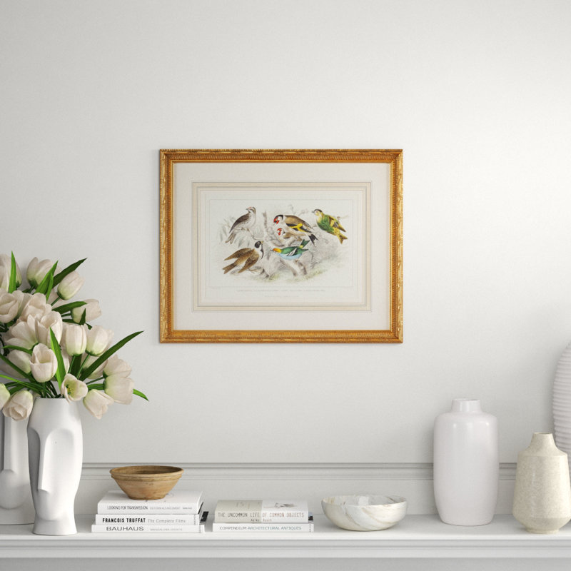 Finch Bunting And Wrens Print