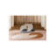 Phila Area Rug in Brown/Beige