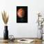 Description de Mars-1021349978