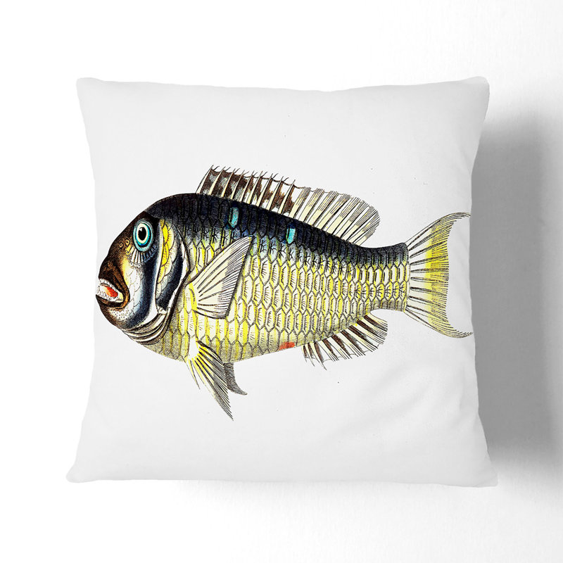 Square Throw Cushion, 55cm H x 55cm W x 20cm D, Black