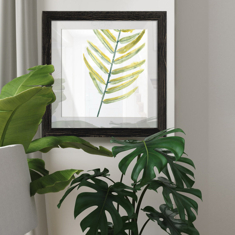 Verdant impressions VII-reproduction d’art, H 17 po x l 17 po x P 1,5 po, Papier encadré noir