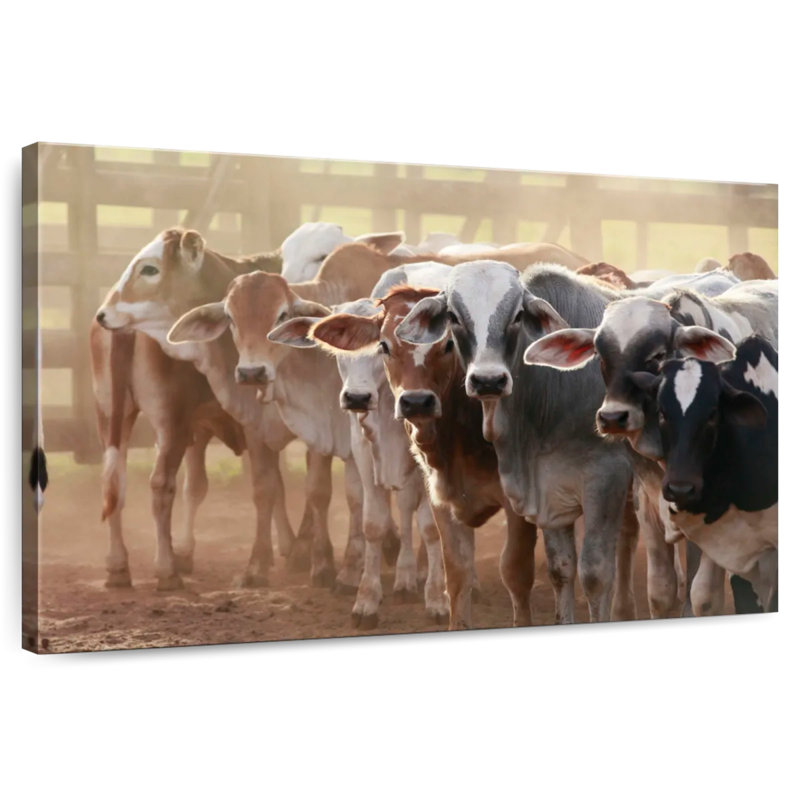 Jersey Cow Line Up, 20" H x 30" W