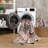 GLN Rugs Vintage Collection - Machine Washable Area Rug, Vintage Washable Rug, Non Slip Area Rug, Low Pile Living Room Rug, Bedroom Rug, Bathroom Rug - Easy Clean (Multicolor Rug)-66446134