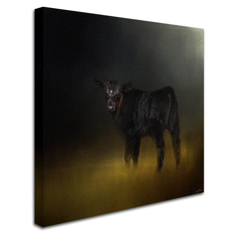 «Black Angus Calf in the Moonlight», reproduction d'art graphique sur toile tendue Vidur, H 14 po x l 14 po