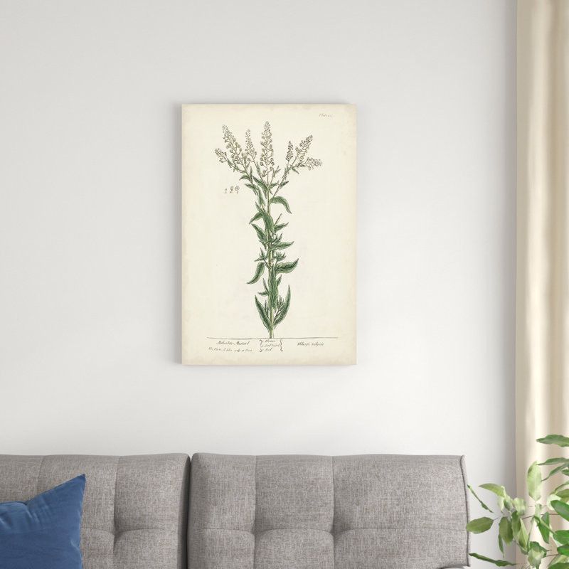 Herbes antiques IV, H 30 po x l 20 po