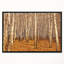 «Dense Birch Forest in the Fall», photographie-26690701-35105363