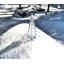 Vermont Evergreen-46309277