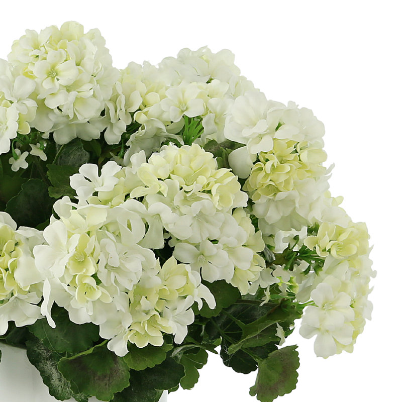 UV Protected Geranium Arrangement, White, White