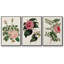 Mélange floral rose I-91887158-91887154