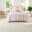 Striped and Toile Comforter Set